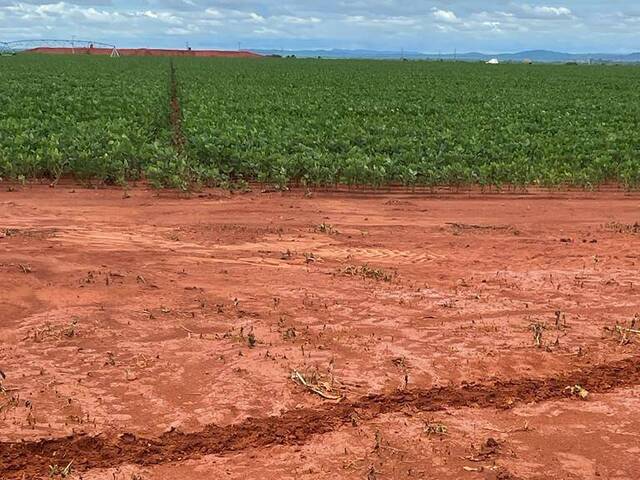 #2382 - Fazenda para Venda em João Pinheiro - MG - 3