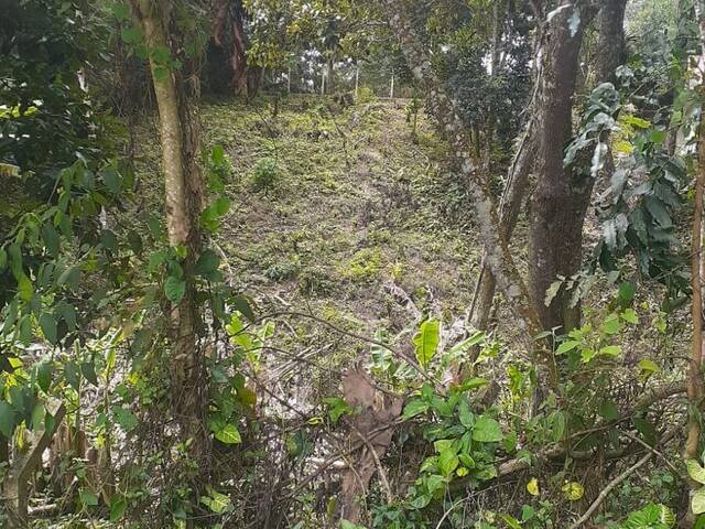 #2436 - Terreno para Venda em Mairiporã - SP - 2