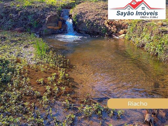 #2241 - Fazenda para Venda em Joanópolis - SP - 1