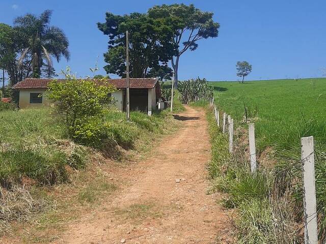 #1943 - Sítio para Venda em Piracaia - SP - 3