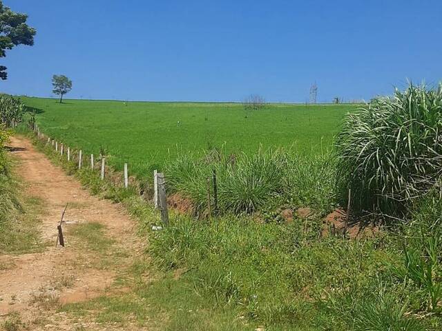 Venda em Canedos - Piracaia