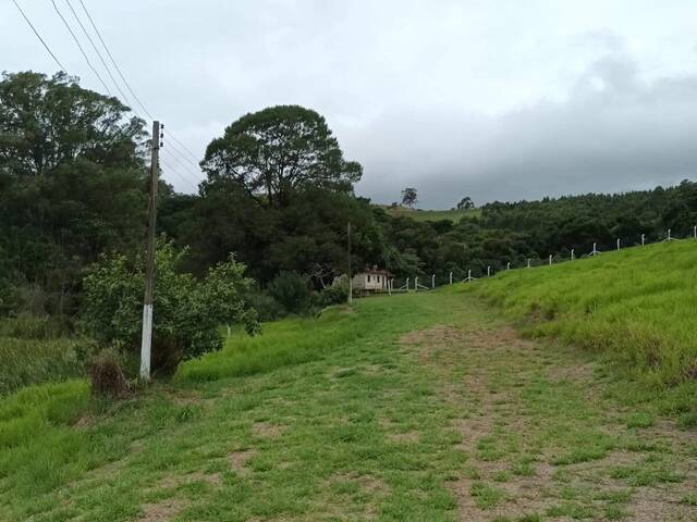 Área para Venda em Vargem - 4