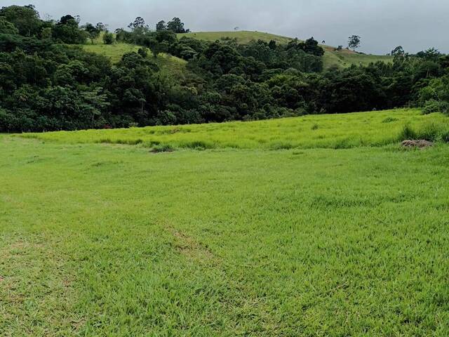 #2265 - Área para Venda em Vargem - SP - 3