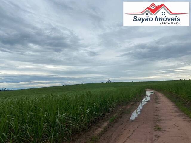 #1767 - Fazenda para Venda em Tambaú - SP - 2