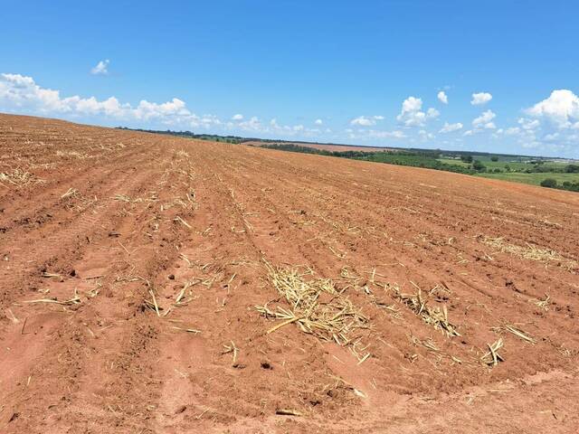 #1767 - Fazenda para Venda em Tambaú - SP - 3