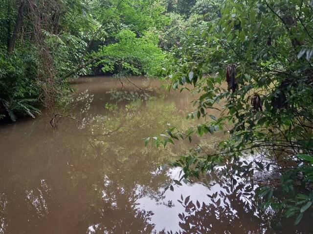 #2514 - Fazenda para Venda em Campina Verde - MG - 2