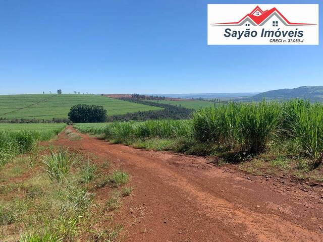 #1728 - Fazenda para Venda em Patrocínio Paulista - SP - 1