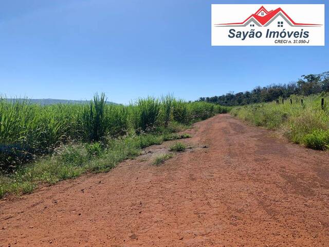 #1728 - Fazenda para Venda em Patrocínio Paulista - SP - 2