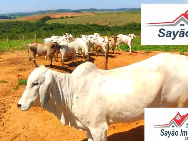 Fazenda para Venda em Oliveira - 4