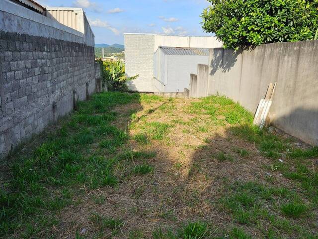 #2445 - Terreno para Venda em Mairiporã - SP - 3