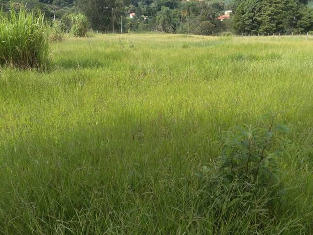 Área para Venda em Vargem - 4