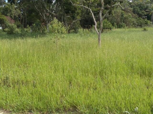 Área para Venda em Vargem - 5