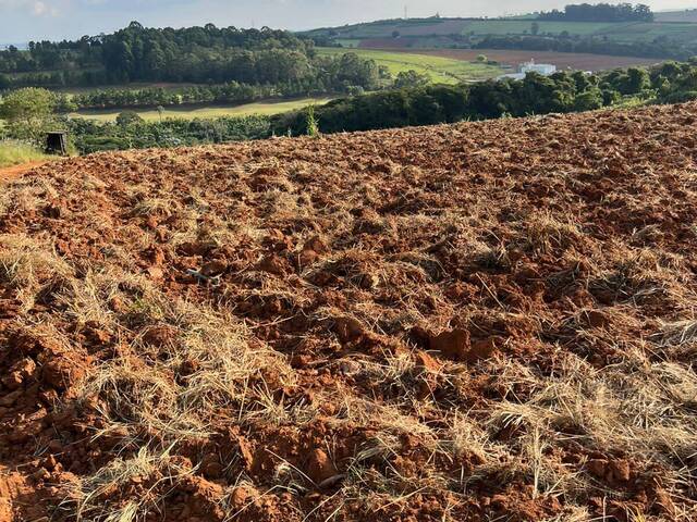 Sítio para Venda em Bragança Paulista - 4