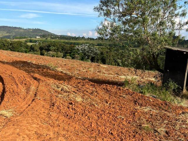 Sítio para Venda em Bragança Paulista - 5