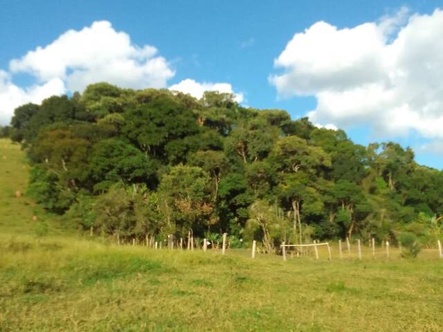 Sítio para Venda em Pedra Bela - 4