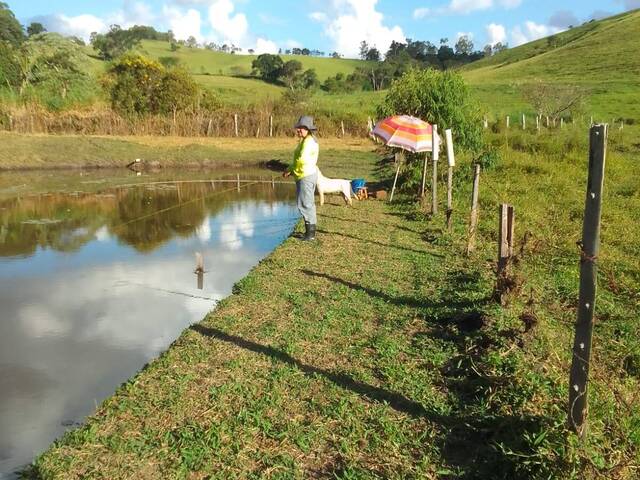 Sítio para Venda em Pedra Bela - 5