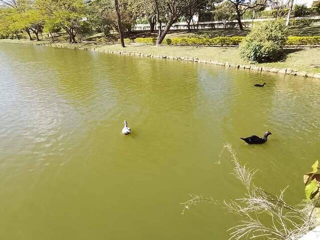 #2640 - Terreno em condomínio para Venda em Atibaia - SP - 3