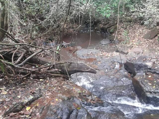 #2655 - Sítio para Venda em São Tomás de Aquino - MG - 1