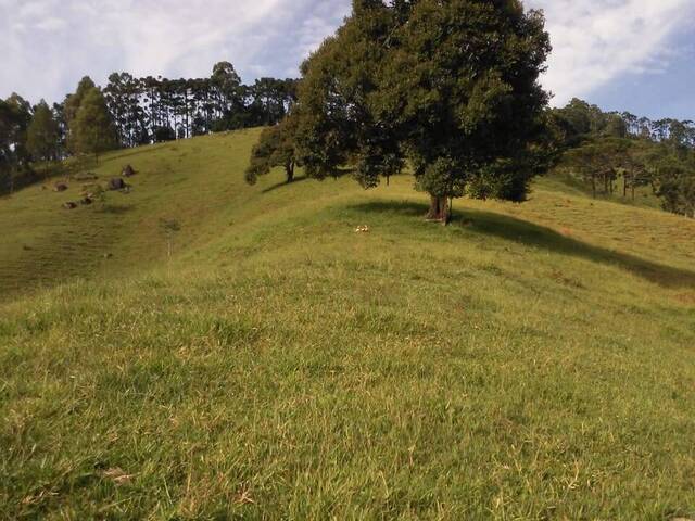 #2701 - Sítio para Venda em Joanópolis - SP - 1