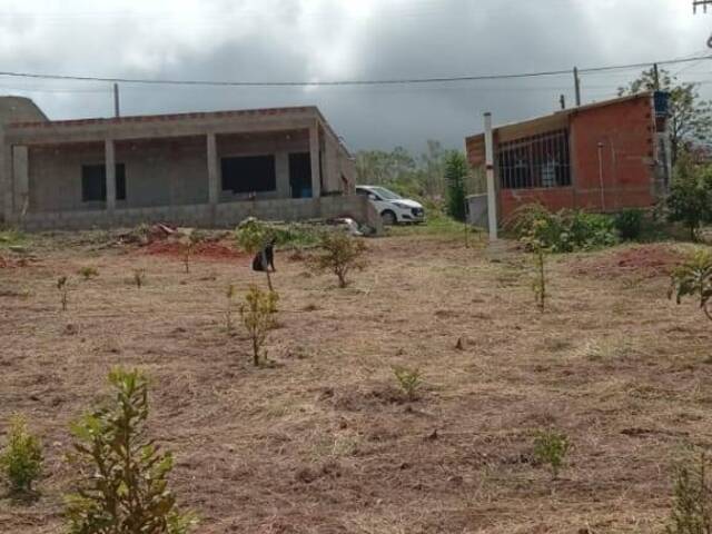 #2741 - Chácara para Venda em Munhoz - MG - 3