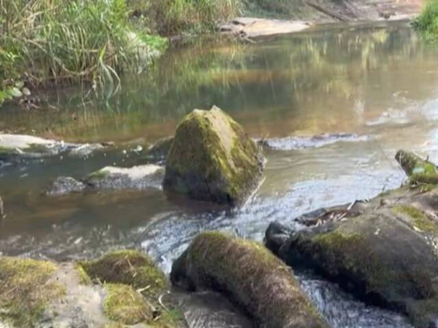 Sítio para Venda em Igaratá - 5