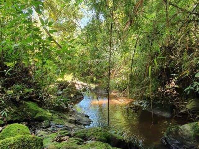 #2774 - Chácara para Venda em Joanópolis - SP - 1