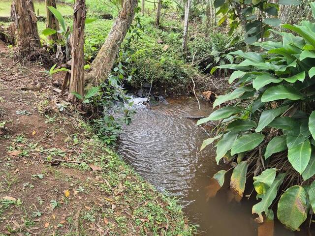 #2776 - Sítio para Venda em Nazaré Paulista - SP - 3