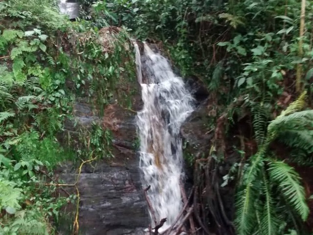 #2778 - Sítio para Venda em Santa Isabel - SP - 3