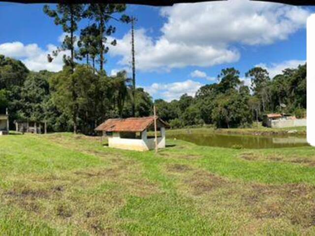#0883 - Sítio para Venda em Mairiporã - SP - 1