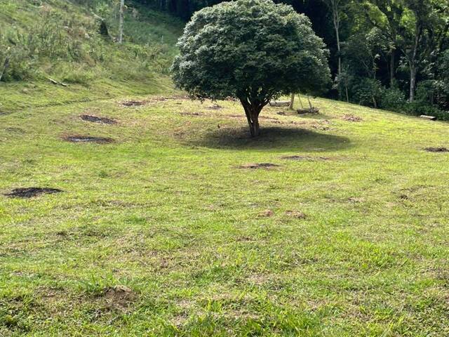 Sítio para Venda em Mairiporã - 5