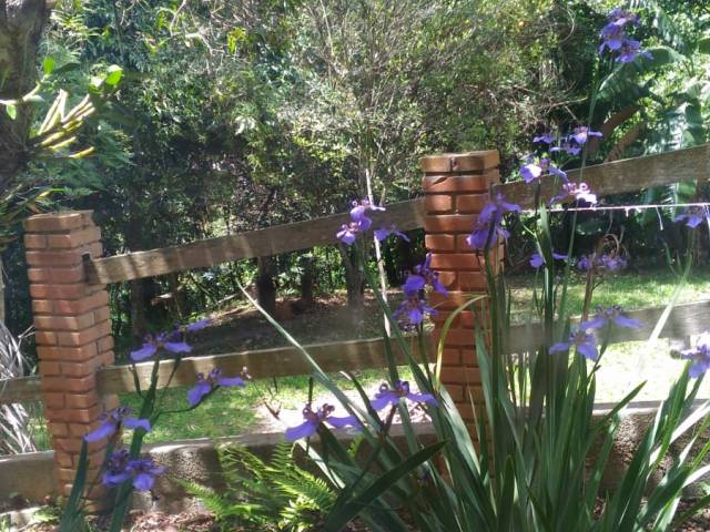 #2484 - Chácara para Venda em Mairiporã - SP - 3