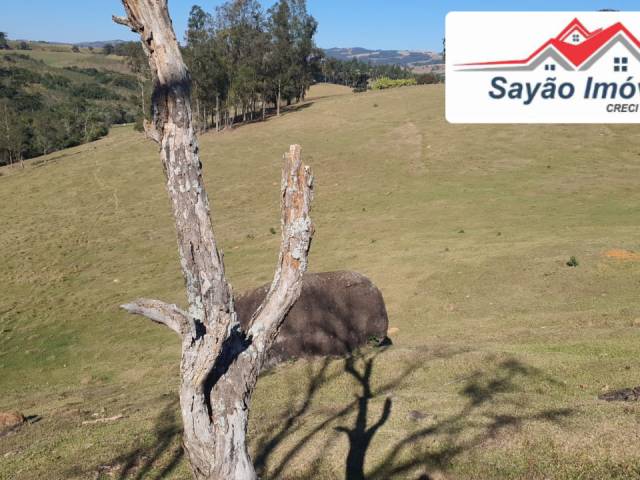 #2531 - Sítio para Venda em Bueno Brandão - MG - 1