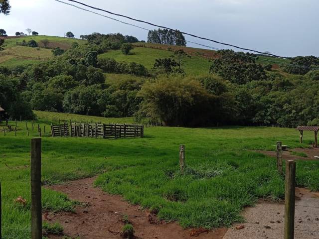 #2531 - Sítio para Venda em Bueno Brandão - MG - 3
