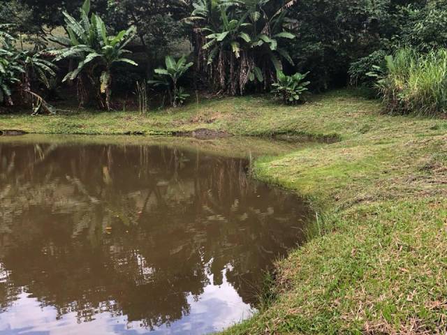#1610 - Sítio para Venda em Nazaré Paulista - SP - 1