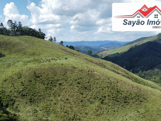 #2779 - Sítio para Venda em Joanópolis - SP - 2