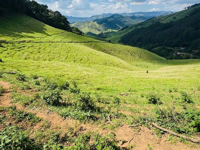 #2779 - Sítio para Venda em Joanópolis - SP - 3