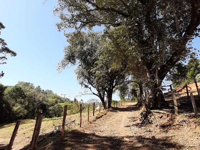 Sítio para Venda em Pedra Bela - 5