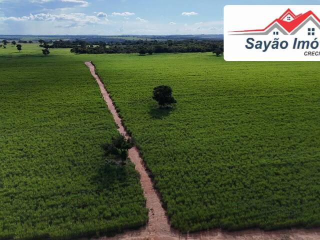 #0017 - Chácara para Venda em Cardoso - SP