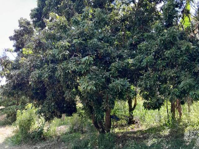 #2823 - Chácara para Venda em Bragança Paulista - SP - 2