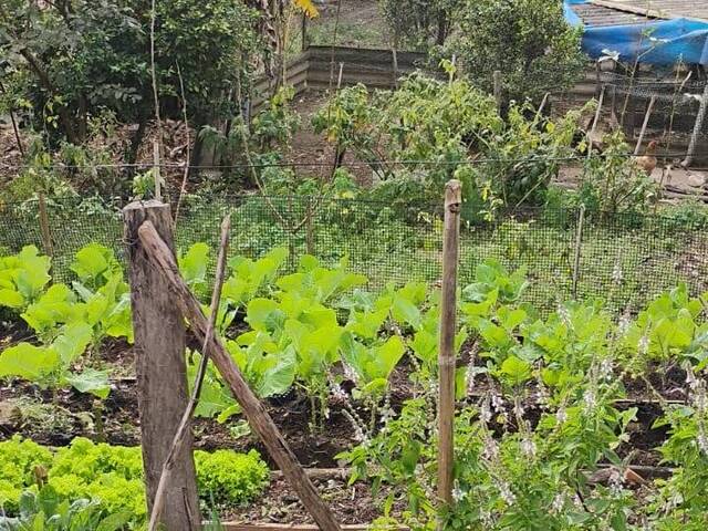 Chácara para Venda em Igaratá - 4