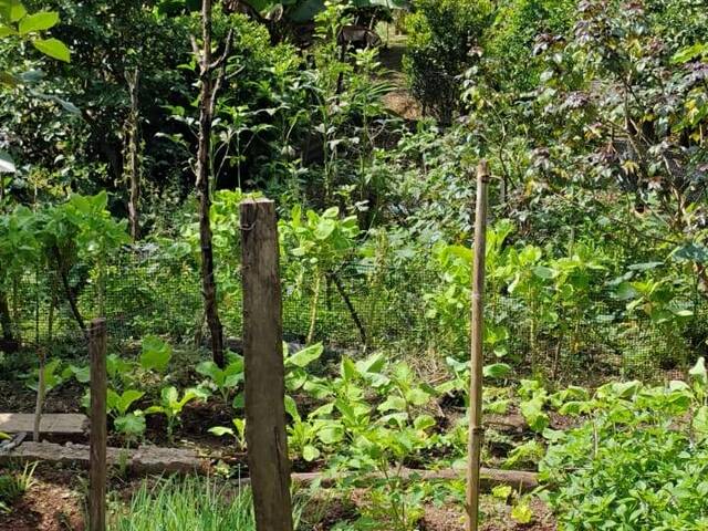 Chácara para Venda em Igaratá - 5