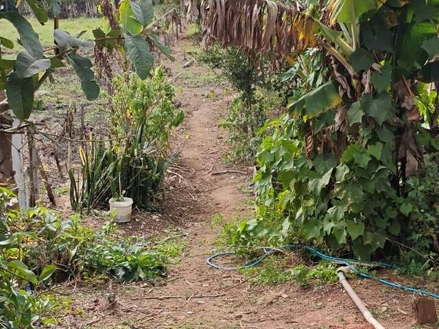 #2342 - Chácara para Venda em Igaratá - SP - 3