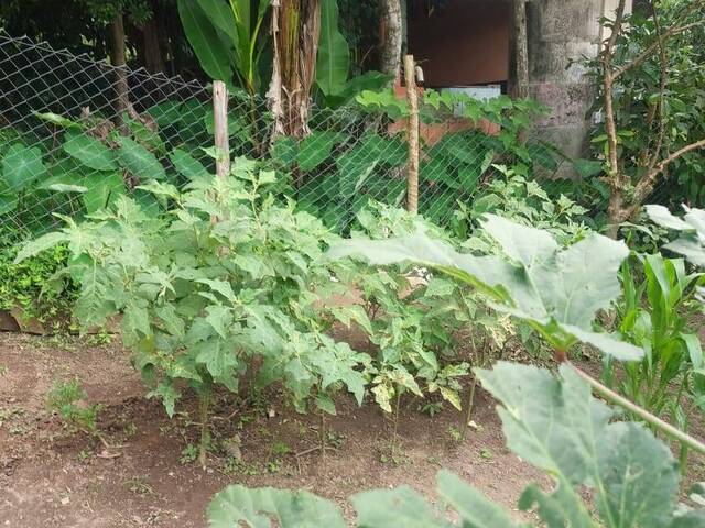 Chácara para Venda em Nazaré Paulista - 4