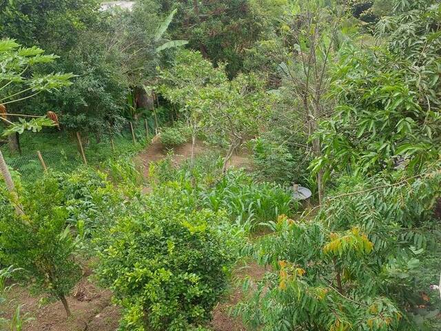 #2830 - Chácara para Venda em Nazaré Paulista - SP - 3
