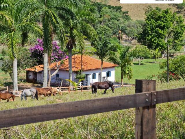 #1851 - Haras para Venda em Pinhalzinho - SP - 3