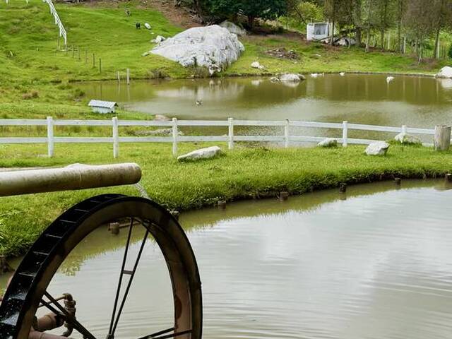 #2832 - Sítio para Venda em Nazaré Paulista - SP - 3