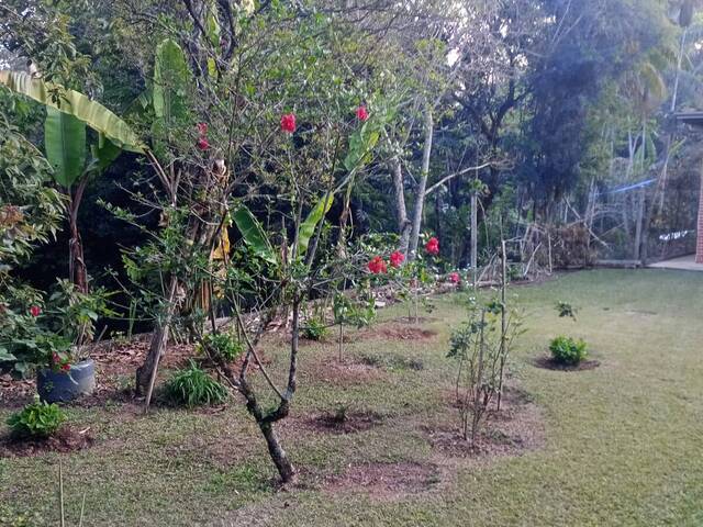 #1539 - Chácara para Venda em Jarinu - SP - 3