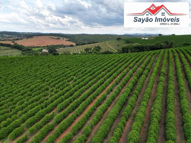 Fazenda para Venda em Elói Mendes - 5