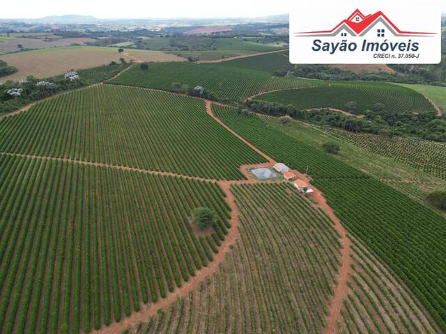 #2310 - Fazenda para Venda em Elói Mendes - MG - 3