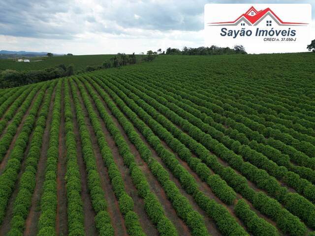 #2310 - Fazenda para Venda em Elói Mendes - MG - 1